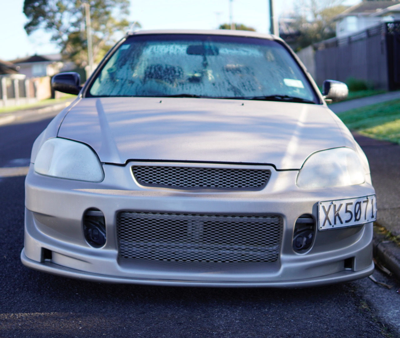 _DSC0104.JPEG