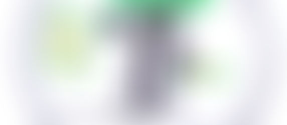 מיסים וקריפטו - אתה זוכר את סוזן הבכירה מהבנק נתנה לי הרבה אהבה