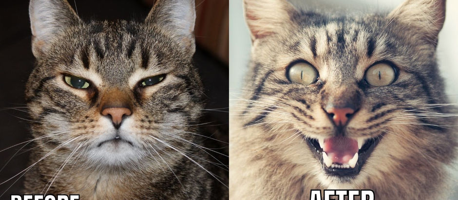 על החיים לפני ואחרי ההליך הפלילי