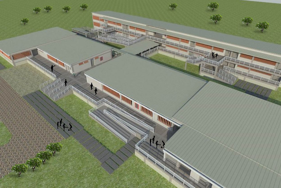 ARQ. colegio campestre