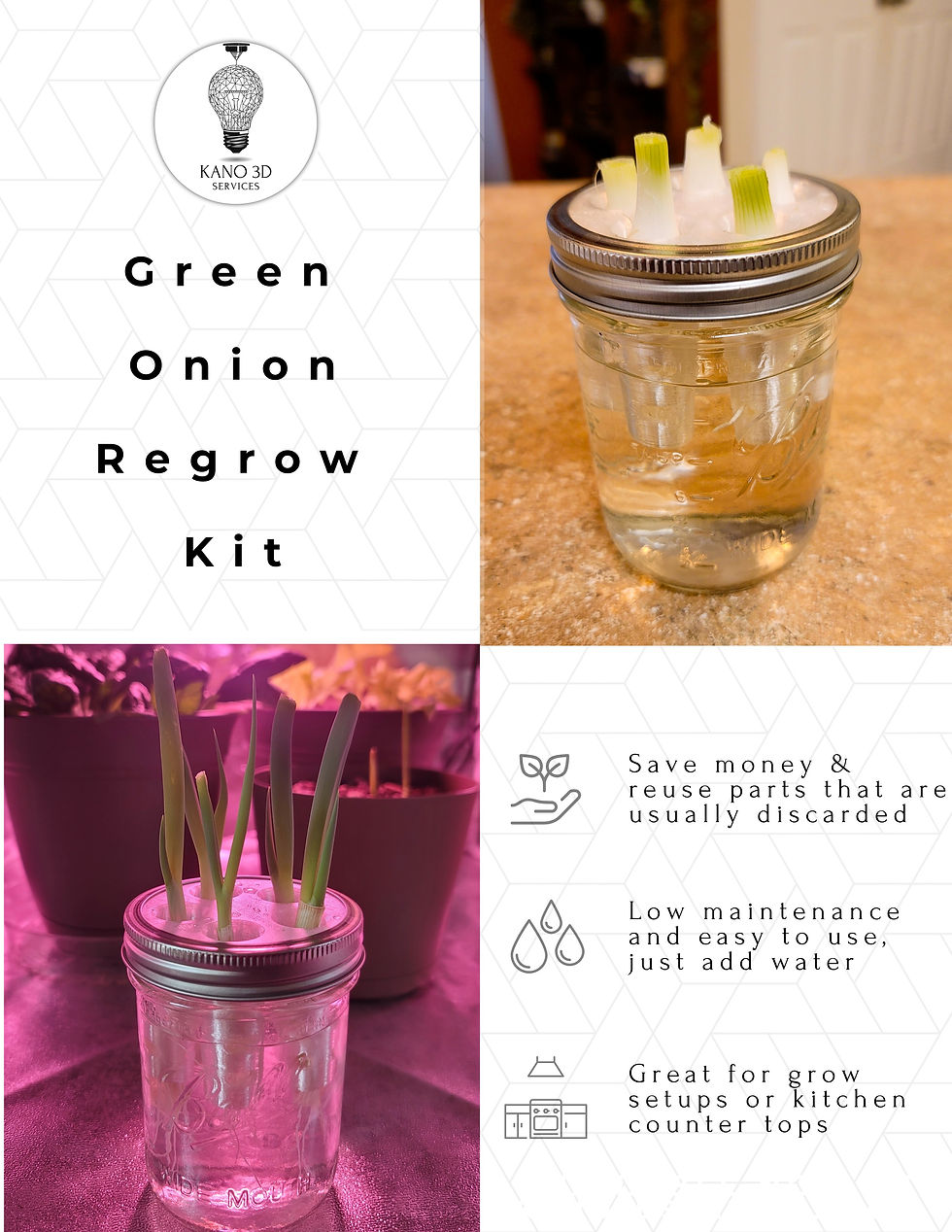 Thumbnail: Green Onion Regrow Kit