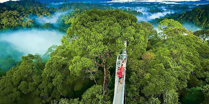 Monteverde