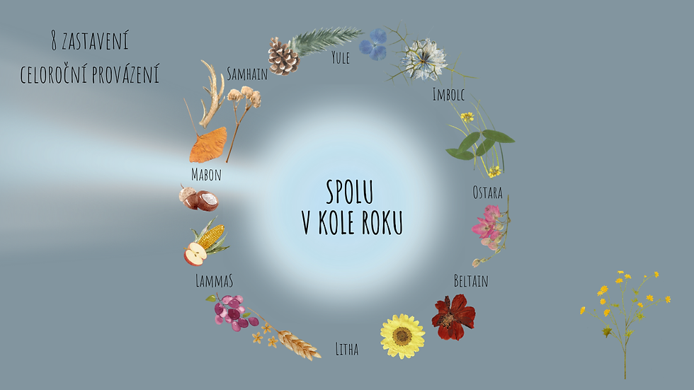 MABON | SPOLU v Kole roku aneb 8 společných zastavení v koloběhu roku