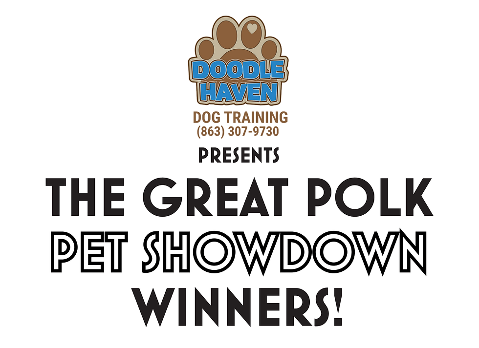 The Great Polk Pet Showdown Winners!
