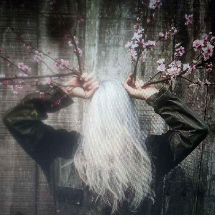 Writer: Karen Wheatcroft