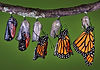 71e7bbd70477dad2c88fc0f4cb825356--butterfly-coming-out-of-cocoon-butterflies.jpg