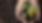 Untitled design (14).png