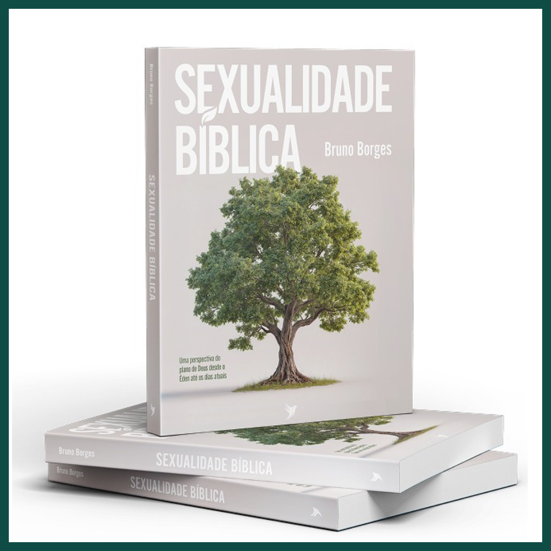 Sexualidade Bíblica: Uma Perspectiva do Plano de Deus