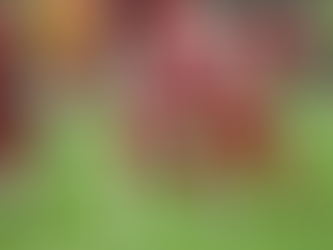 What Are You Looking For?