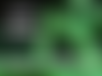 WEEK 14 BREAKOUT: Who Do You Trust More?