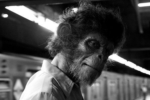 Clipe Chimpanzé Clube Trio
