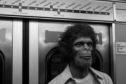 Clipe Chimpanzé Clube Trio