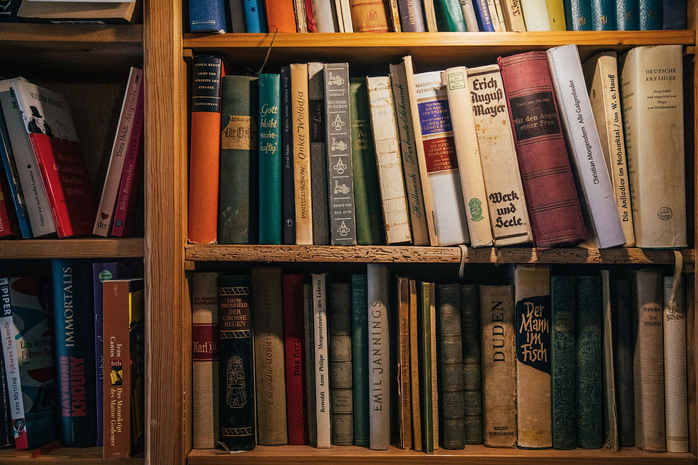 imatge de lleixes amb assortit de llibres antics de tot tipus