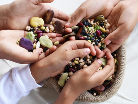 Las Legumbres: nutritivas y sabrosas