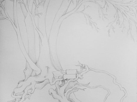 An Illustrated Essay