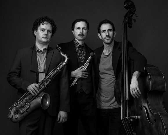 Malleus Trio 5 (black and white).jpg