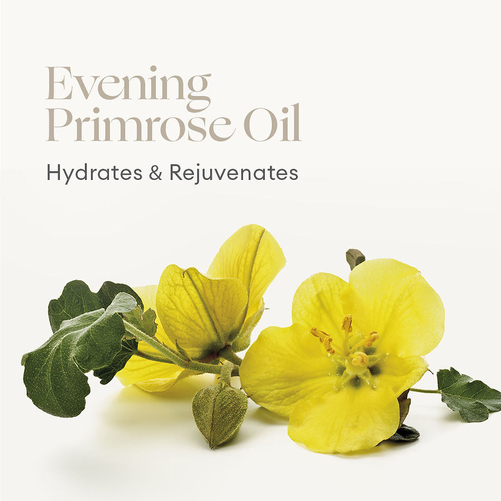 Thumbnail: Phyto-Active Botanical Face Oil 30ml