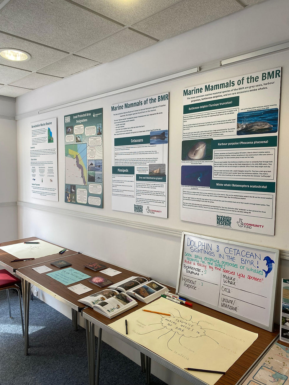 It has been fun updating the cetacean sightings board through our shorewatch events and locals informing us of their sightings!