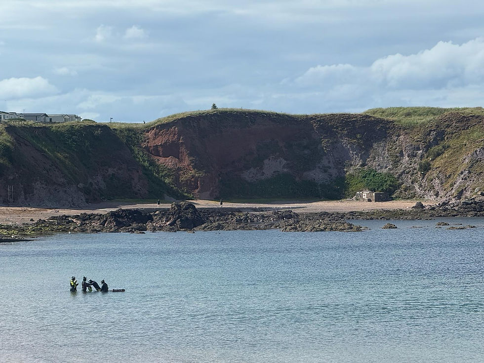 We had wonderful weather this year for the snorkel festival, this is the second year BMR have been hosting this festival.