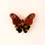 Miniature : Barrette à Cheveux - Papillon de nuit
