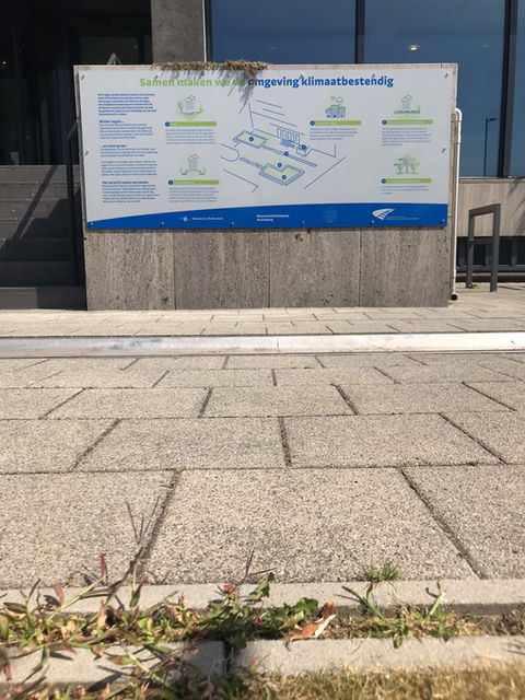 project_villazebra_homepage-2