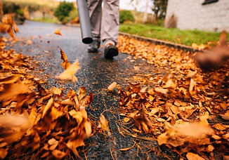 Professional leaf removal and yard cleanup in Mississauga by Shine Clear, ensuring a clear lawn for winter.