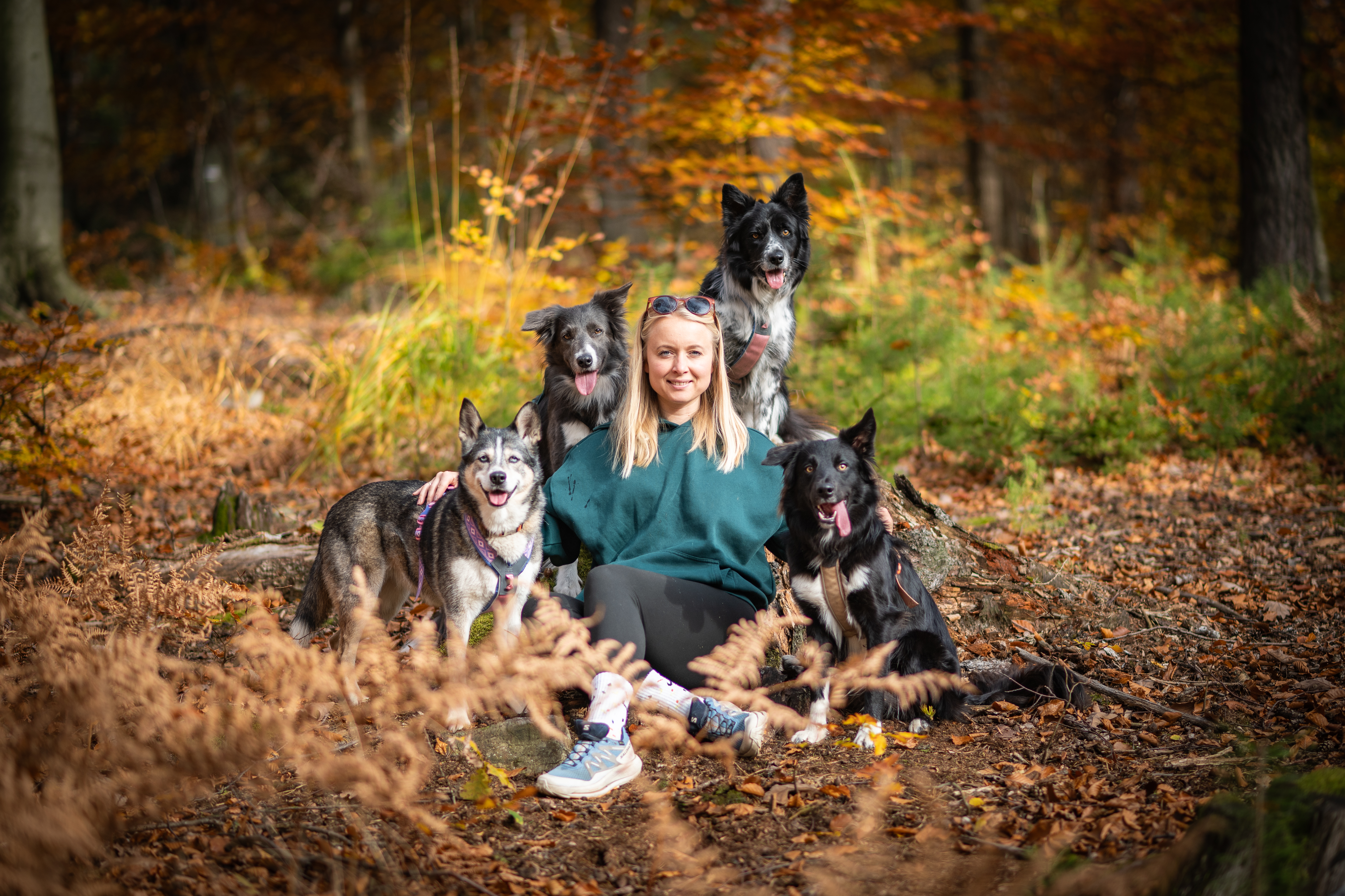 Zdjęcie autora: Positive Dog