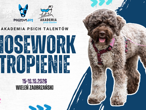 Nosework i tropienie - jesienny obóz nad jeziorem Wieleńskim
