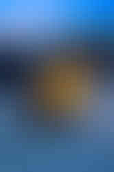 DSC02981.jpeg