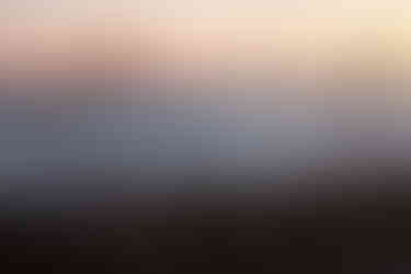 IMG_8003.jpeg