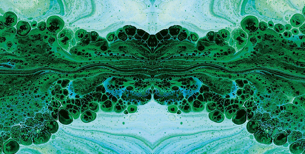 IMPCT_Systemischer_Wandel_II.jpg
