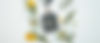 SkinGin_Header_Kontakt.jpg