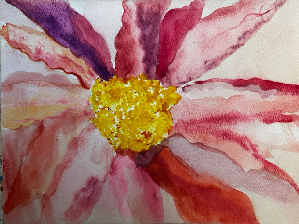 09CCD221-3E0F-419D-90B9-BA60FC23278E_1_105_c