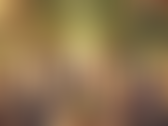 Vic’s Lesson on Parkinson’s Law: A Continuation of the Journey