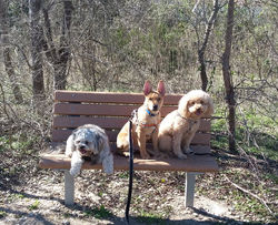 1-31-2016 9-18-24 PM