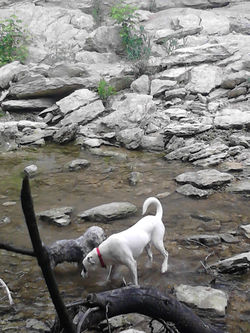 Walnut Creek Metropolitan Park Trail