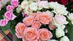 第8回 Poppin Rose Market