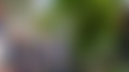 国内初の「まちづくりSIB」が最高評価で終了!