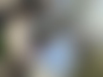 「馬場川でボードゲームをしてみようの会」を開催しました!