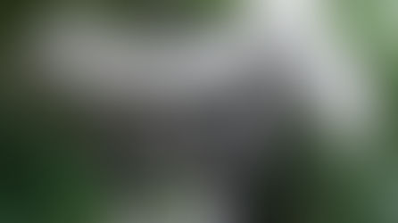 2014年 七夕飾り