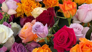 第11回 Poppin Rose Market