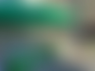 初市にあわせて馬場川プロジェクトをご紹介しました!