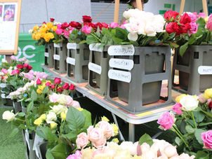 第3回 Poppin Rose Market