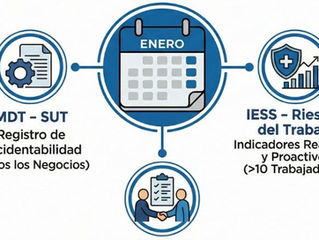Registros indicadores mes enero