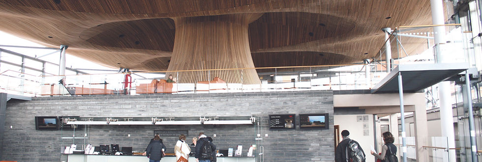 Senedd int 1559 x525.jpg