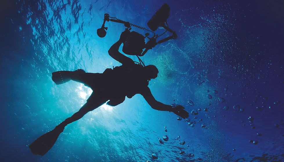 Divers D Header 980 x 560.jpg