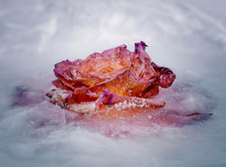 © DSstudio Photography