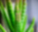 20240517_163034.jpg