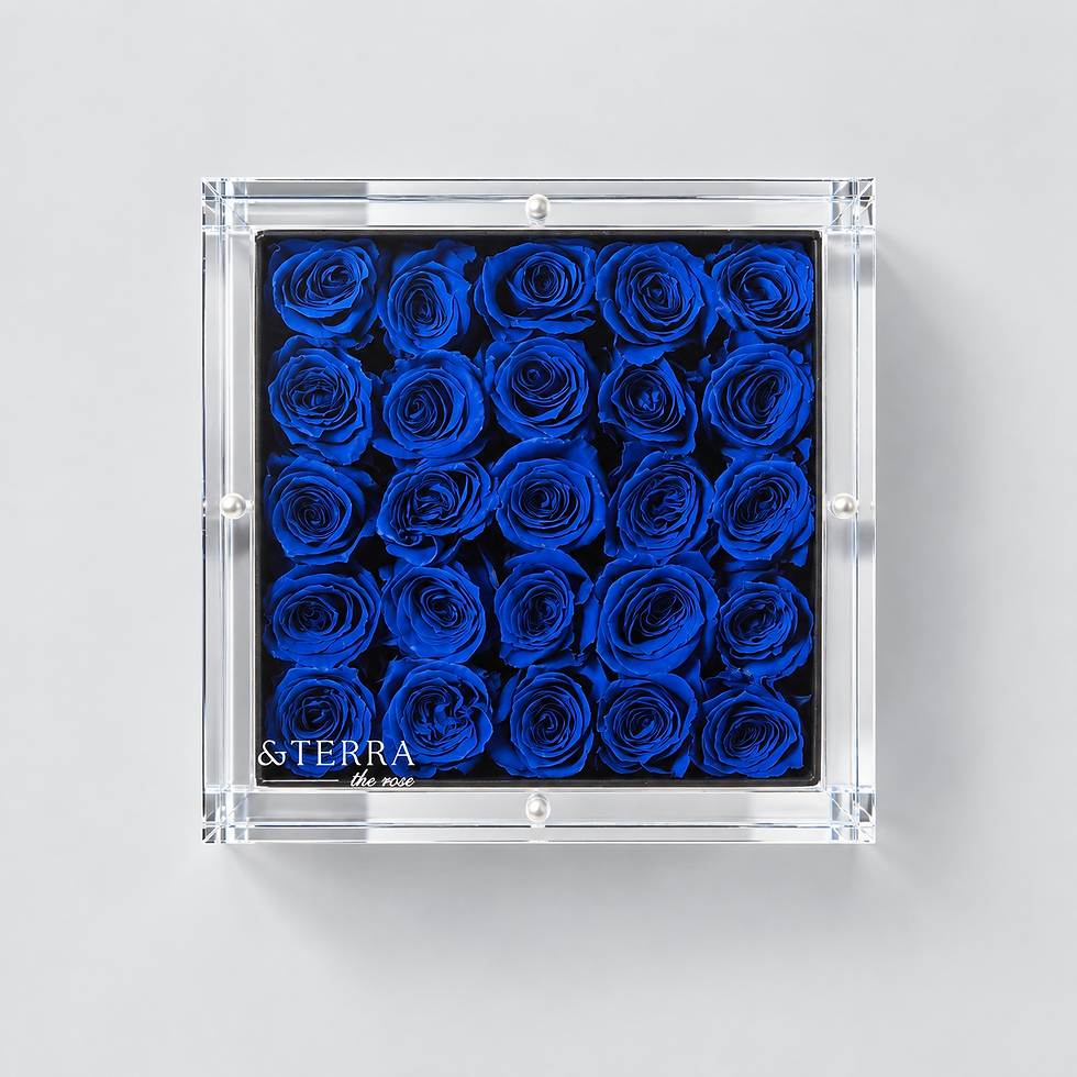 サムネイル： Terra blue