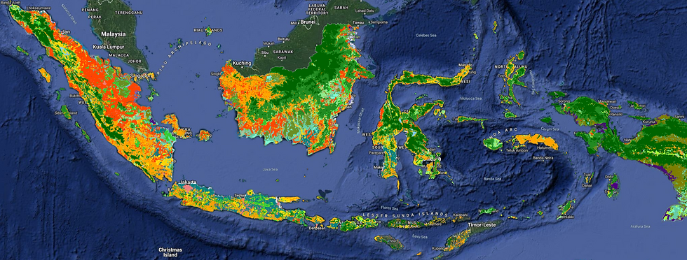 05-indonesia-landcover.png